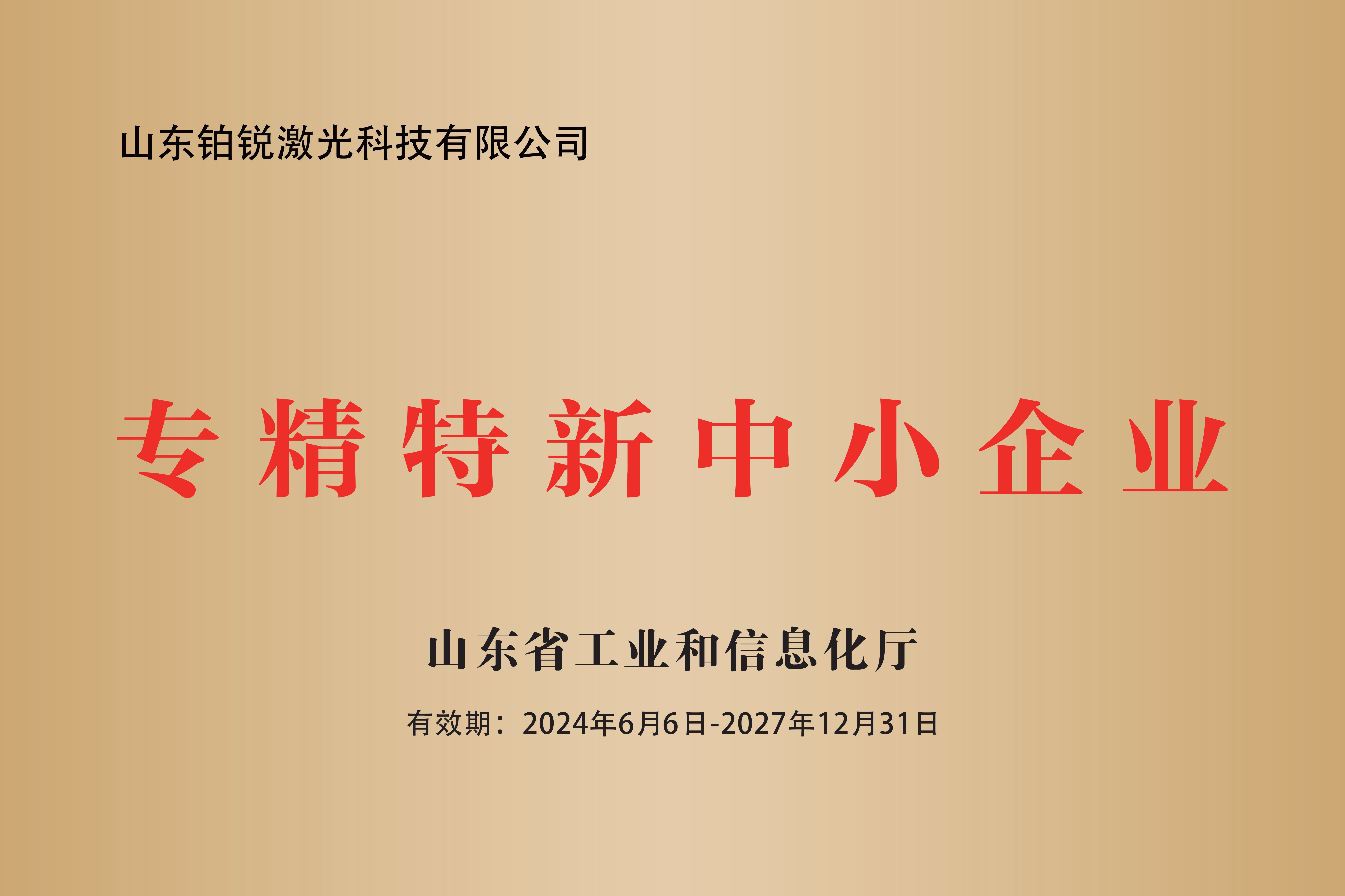 喜报！祝贺夜性影院荣获省级“专精特新”企业称号